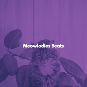 Meowlodies Beats - Cat Music Therapy