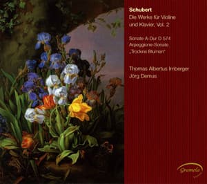 Schubert: Die Werke für Violine und Klavier, Vol. 2 - Franz Schubert