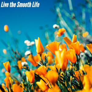 Live the Smooth Life - French Cafe Jazz Chill
