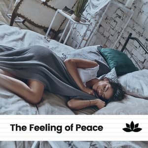The Feeling of Peace - Instrumental Sleeping Music