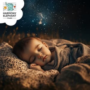 Cradle Lullabies from the Night Sky - Sleep My Child