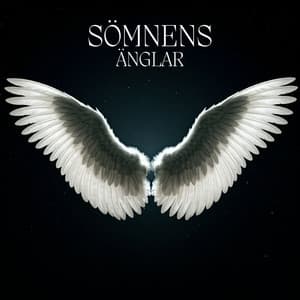 Sömnens änglar: Kämpa mot sömnlöshet med milda sömnljud - Helande Instrumentalmusik Akademi