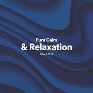 Pure Calm & Relaxation - Calm Music by Relax & Chill