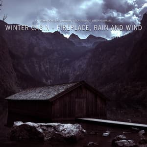 Winter Cabin - Fireplace, Rain and Wind - Dr. John Douglas