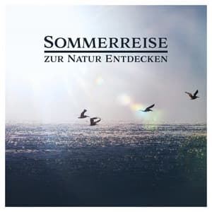 Sommerreise zur Natur Entdecken - Musik zum Entspannen, Meditation, Yoga, Abendessen - Musik für die Seele Universum