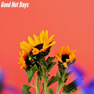 Good Hot Days - Restaurant Music Playlist Lounge