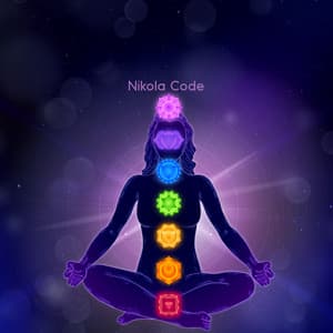 Healing Your Chakras: Harmonizing the Body, Spiritual Energy, Inner Harmony - Nikola Code