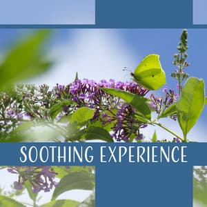 Soothing Experience - Gentle Crystal Sounds Divine