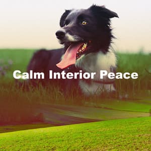 Calm Interior Peace - Soothing Dog Sounds
