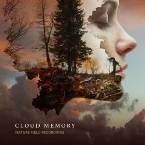 Cloud Memory - Nature Field Recordings