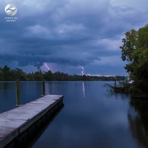Nighttime Heron's Ambience By The Lake - Mother Nature Ambience