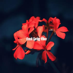 Fresh Spring Vibes - Easy Listening Soft Jazz