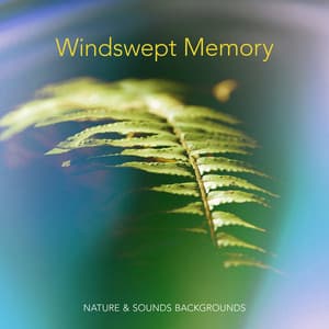 Windswept Memory - Nature & Sounds Backgrounds