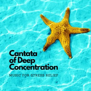 Cantata of Deep Concentration: Music for Stress Relief - Focus Ambience