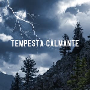 Tempesta calmante - Joyce Long