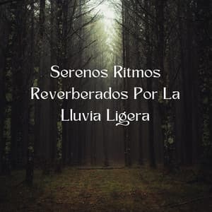 Serenos Ritmos Reverberados Por La Lluvia Ligera - Príncipe de la lluvia