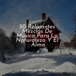 50 Relajantes Mezclas De Música Para La Naturaleza Y El Alma - Meditación Interna