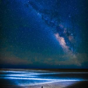 1 Coastal Night: In Twilight - Coastal Sounds