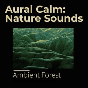 Aural Calm: Nature Sounds - Ambient Forest