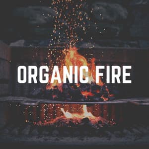 Organic Fire - Weihnachtskamin