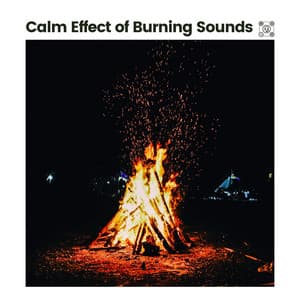 Calm Effect of Burning Sounds - Fireplace FX Studio