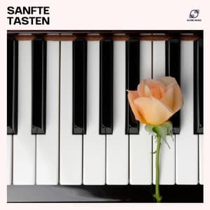 Sanfte Tasten: Entspannende Klaviermusik - Piano Musik
