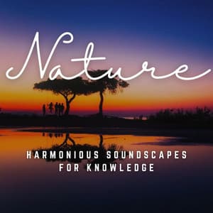 Study Serenity: Harmonious Soundscapes for Knowledge - Music For Studying and Concentration
