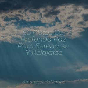 50 Pistas De Profunda Paz Para Serenarse Y Relajarse - Musica de Piano Escuela