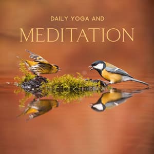 Daily Yoga and Meditation for Positive Energy - Bird Song Group