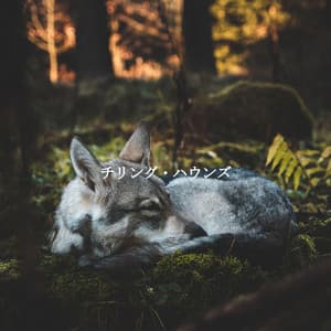 チリング・ハウンズ - Acoustic Coffee Shop Music