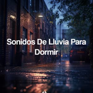 Sonidos De Lluvia Para Dormir - Meditation Rain Sounds