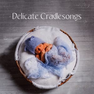 Delicate Cradlesongs - Baby Sleep Lullaby Academy