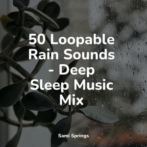 50 Soothing Winter Rain Tracks - Study Music