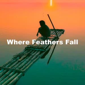 Where Feathers Fall - Zen Soothing Sounds of Nature