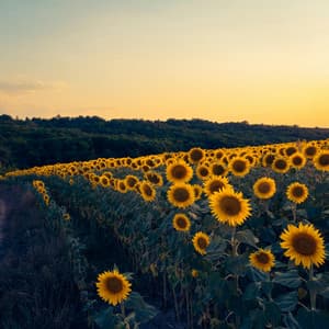 10 Chakras: Waking A Passion - Spa Music Relaxation