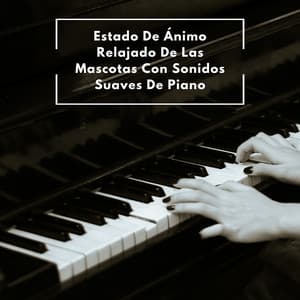 Estado De Ánimo Relajado De Las Mascotas Con Sonidos Suaves De Piano - Cafetería Jazz Piano Escalofriante