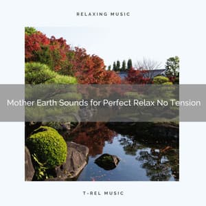 Mother Earth Sounds for Perfect Relax No Tension - Mother Nature FX