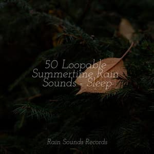 50 Loopable Summertime Rain Sounds - Sleep - Brain Study Music Guys