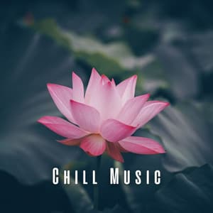 Chill Music: Meditation Tracks for Serene Mind - My Serenity
