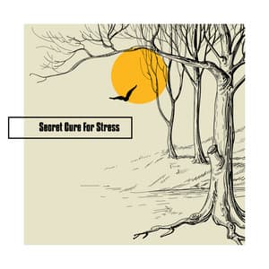 Secret Cure For Stress: Relaxing Guitar Tones, Magical New Age Collection, Nature Sounds Will Heal Your Soul - Sensual New Age Maker