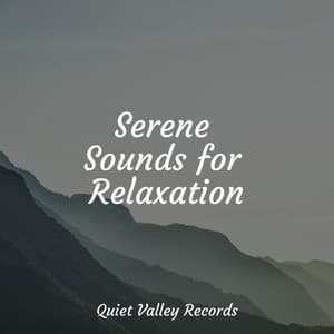 Serene Sounds for Relaxation - Pro Sound Effects Library