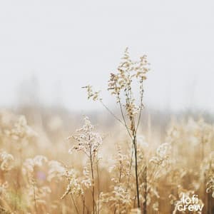 Easy Lofi Beats - Study Zone