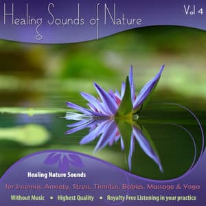 Healing Nature Sounds for Insomnia, Anxiety, Stress, Tinnitus, Babies, Massage & Yoga - Vol. 4 - The Healing Sounds of Nature