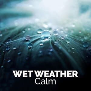Wet Weather Calm - The Relaxing Sounds of Water