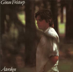 Återsken - Göran Fristorp