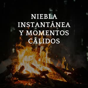 Niebla Instantánea Y Momentos Cálidos - Colección de Sonidos de Lluvia Naturales