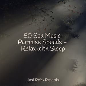 50 Spa Music Paradise Sounds - Relax with Sleep - Healing Yoga Meditation Music Consort