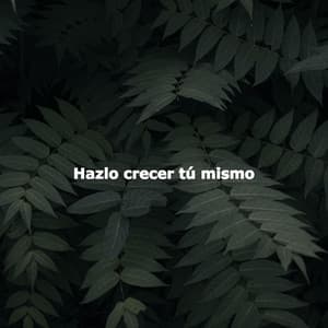 Hazlo crecer tú mismo - Hotel Lounge Soundtracks