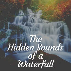 The Hidden Sounds of a Waterfall - Water Effects Center