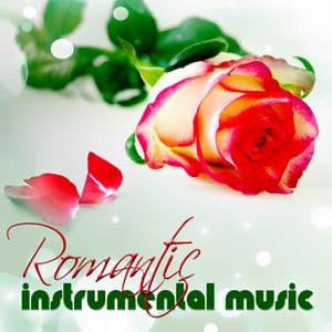 Romantic Instrumental Music - Diana Porter